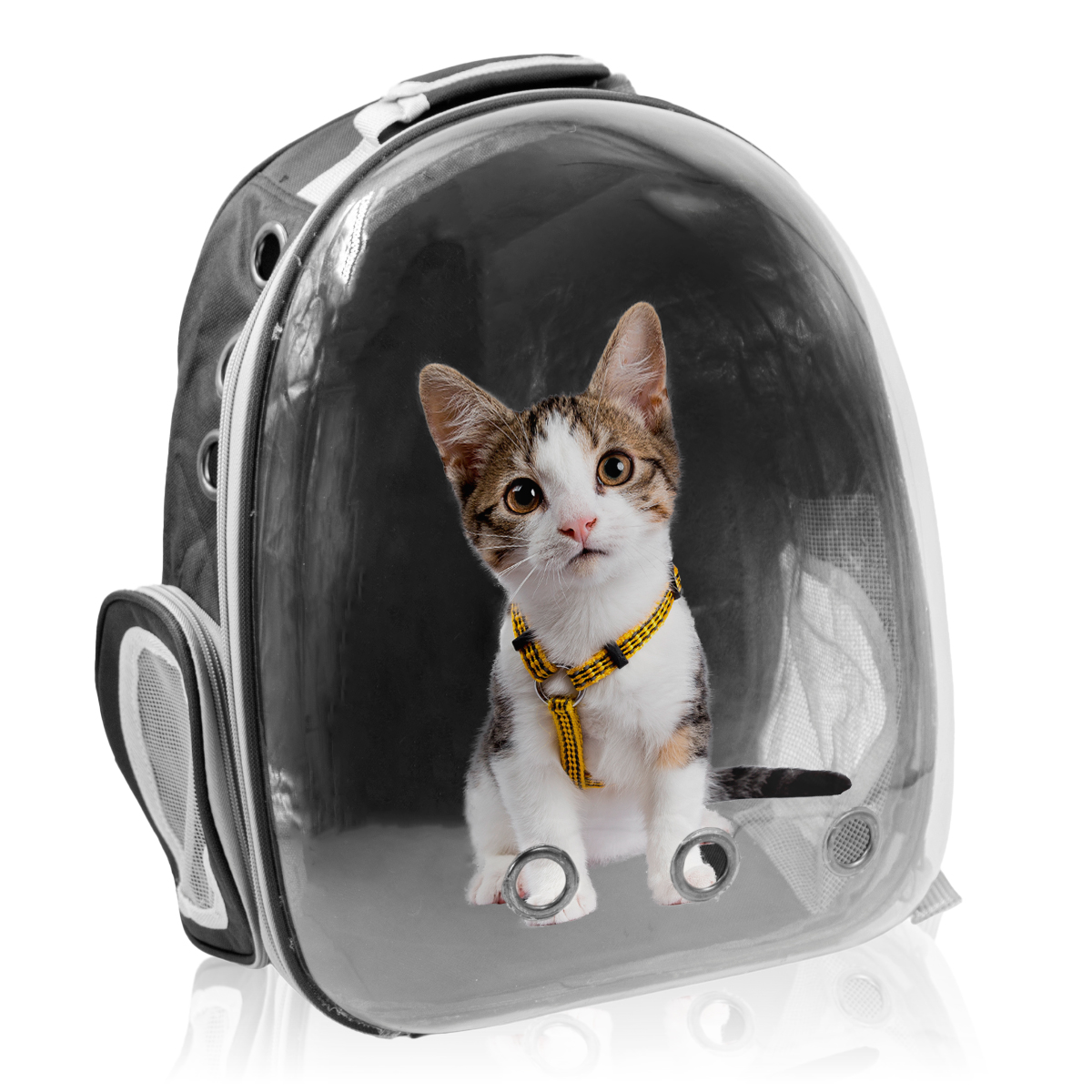 Mochila Pet Visão Panorâmica Passeios Astronauta Cor:azul — imagem 1